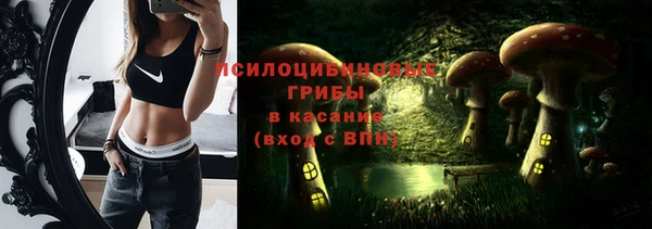 индика Ростов