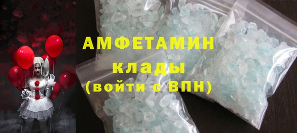 индика Ростов
