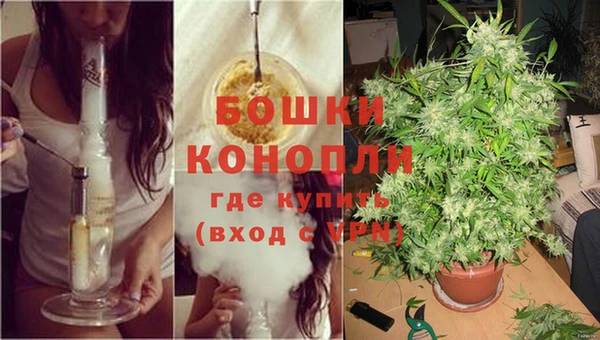 гидропоника Пролетарск