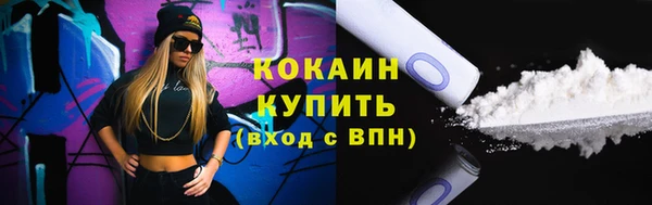 индика Ростов