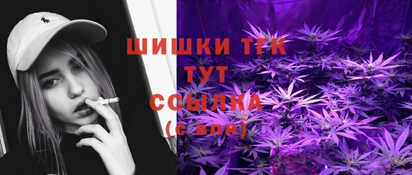 индика Ростов