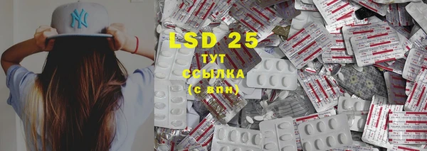 индика Ростов