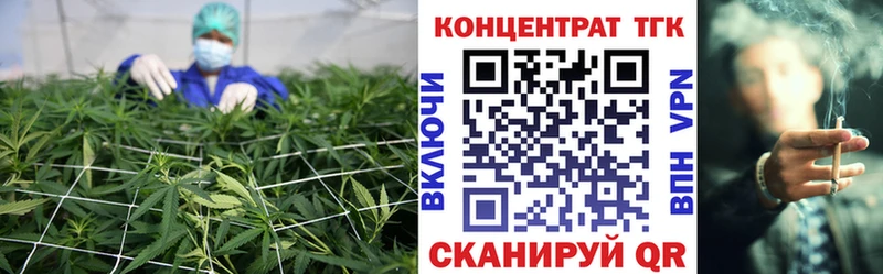 дарнет шоп  Тейково  ТГК вейп 