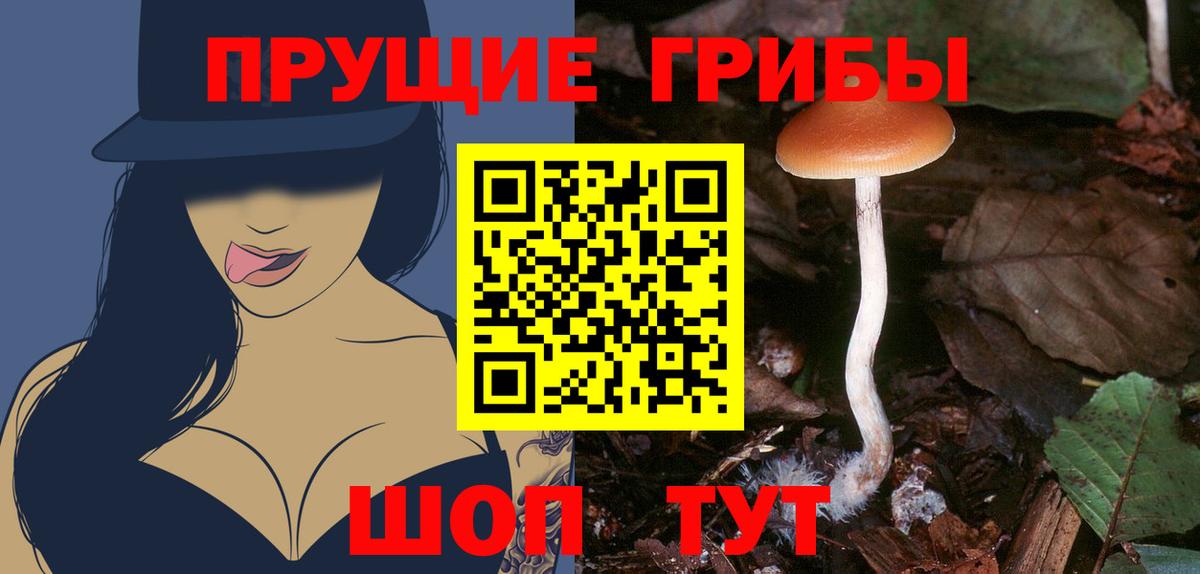Галлюциногенные грибы Magic Shrooms  Вход с VPN  Тейково  Галлюциногенные грибы Psilocybe 