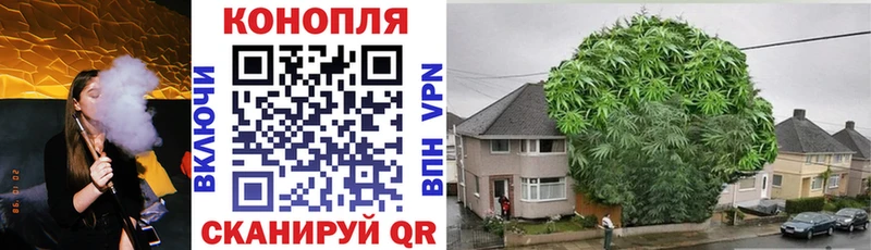 Конопля семена  Тейково 
